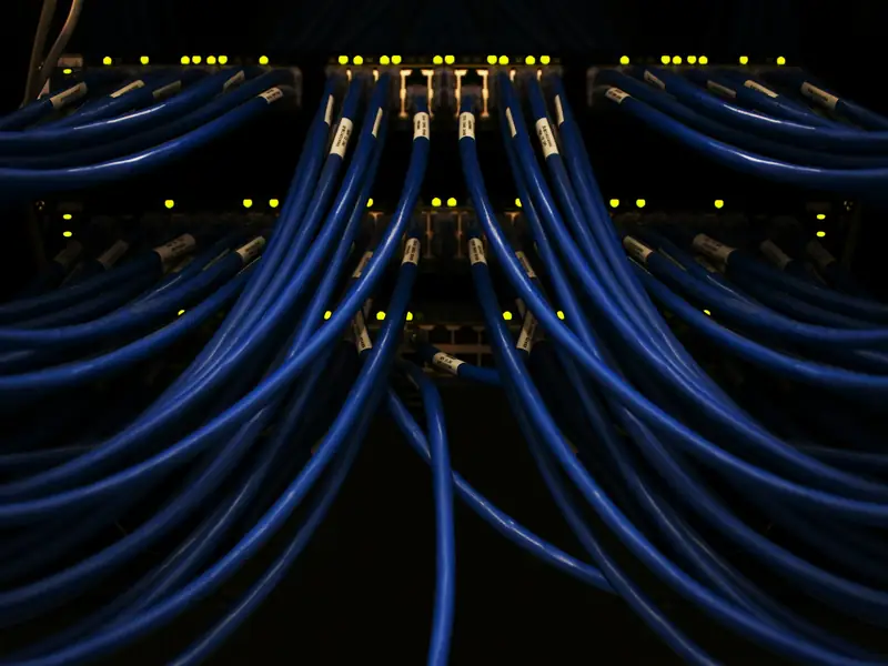 Neatly labelled blue patch cables running into a network switch